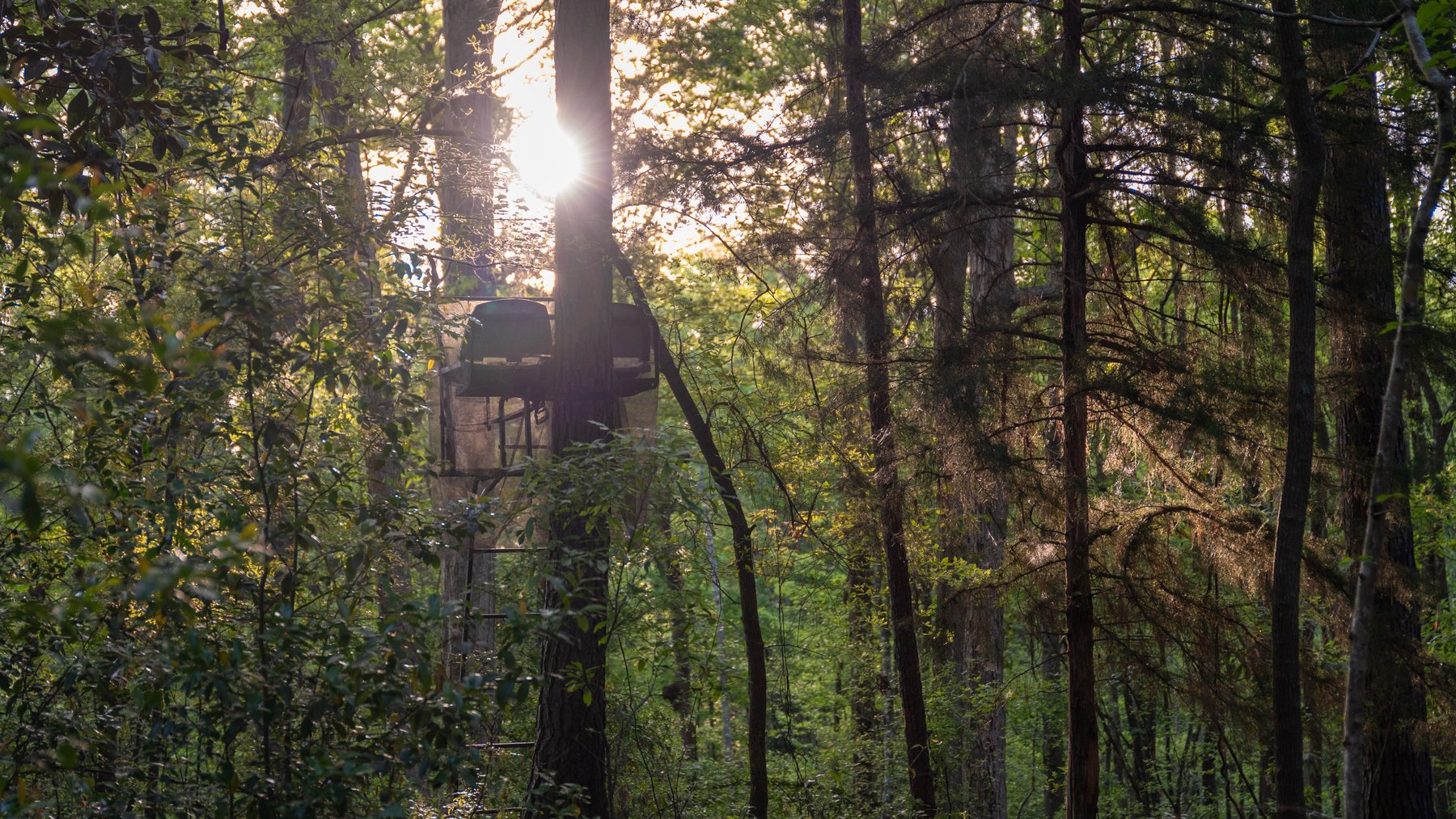 Image for 45+/- Acres - Fowl Hill Farms - Recreational Property w/ Row Crop Farmland