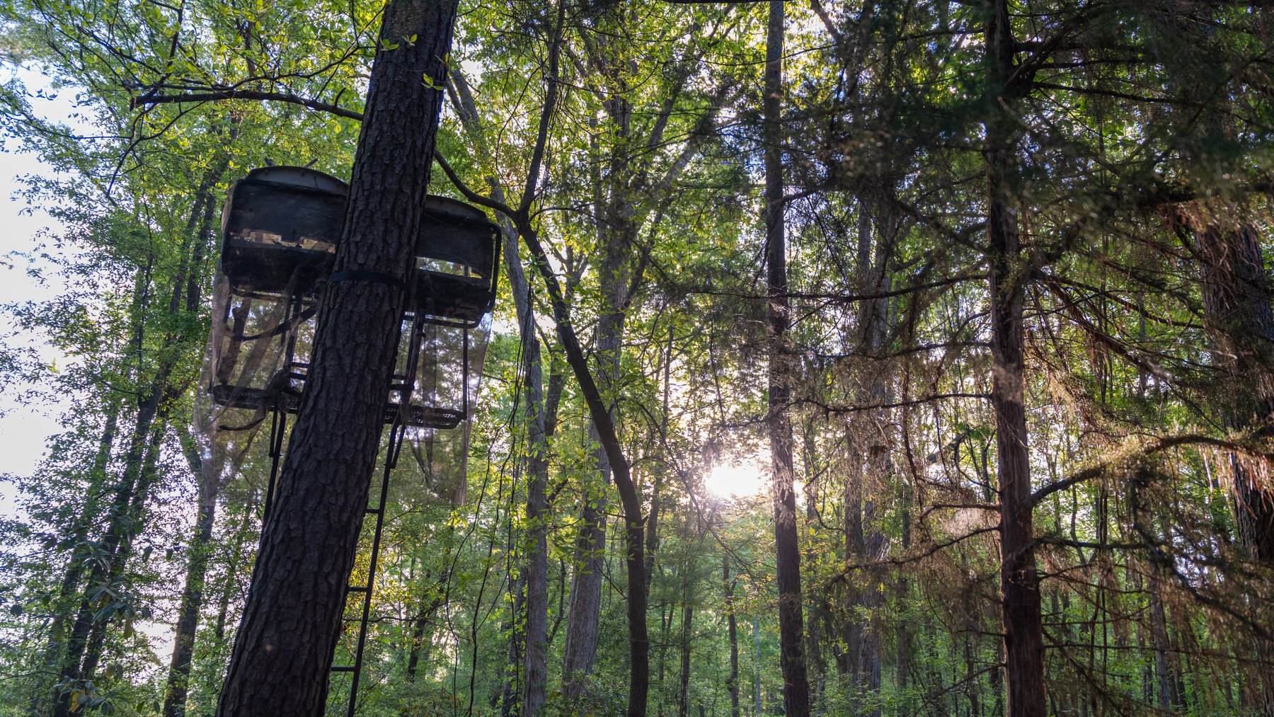 Image for 45+/- Acres - Fowl Hill Farms - Recreational Property w/ Row Crop Farmland