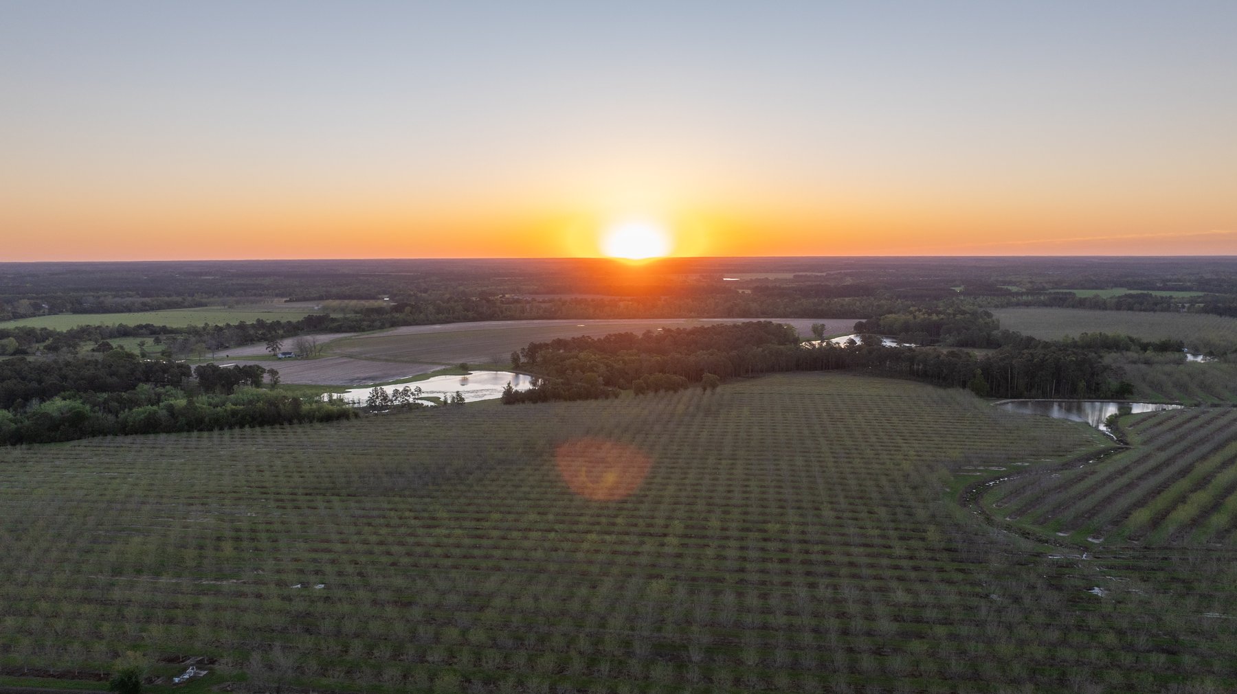 Image for 715+/- Acres - The Home Tract - Weybrenee Farms