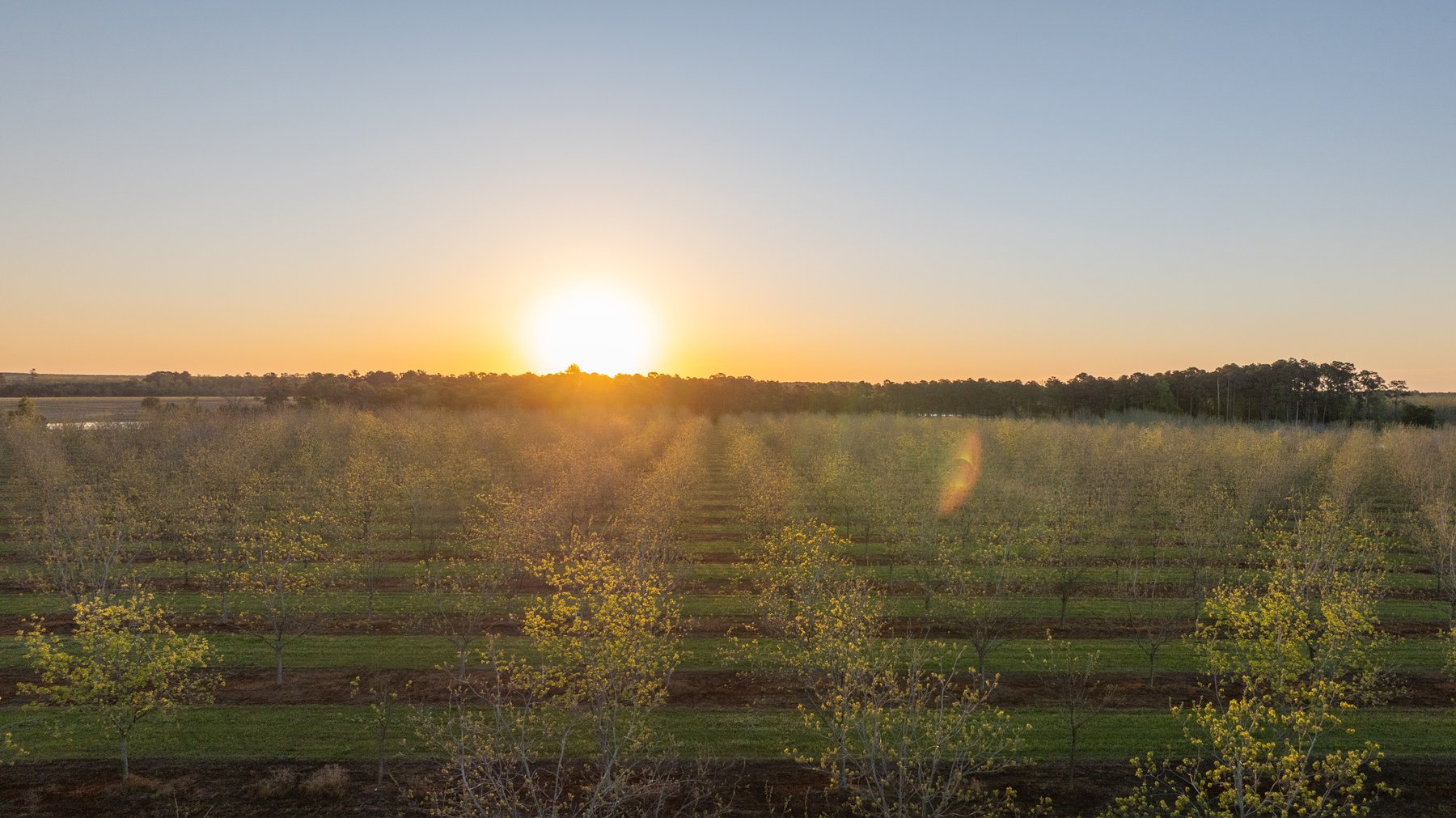 Image for 715+/- Acres - The Home Tract - Weybrenee Farms