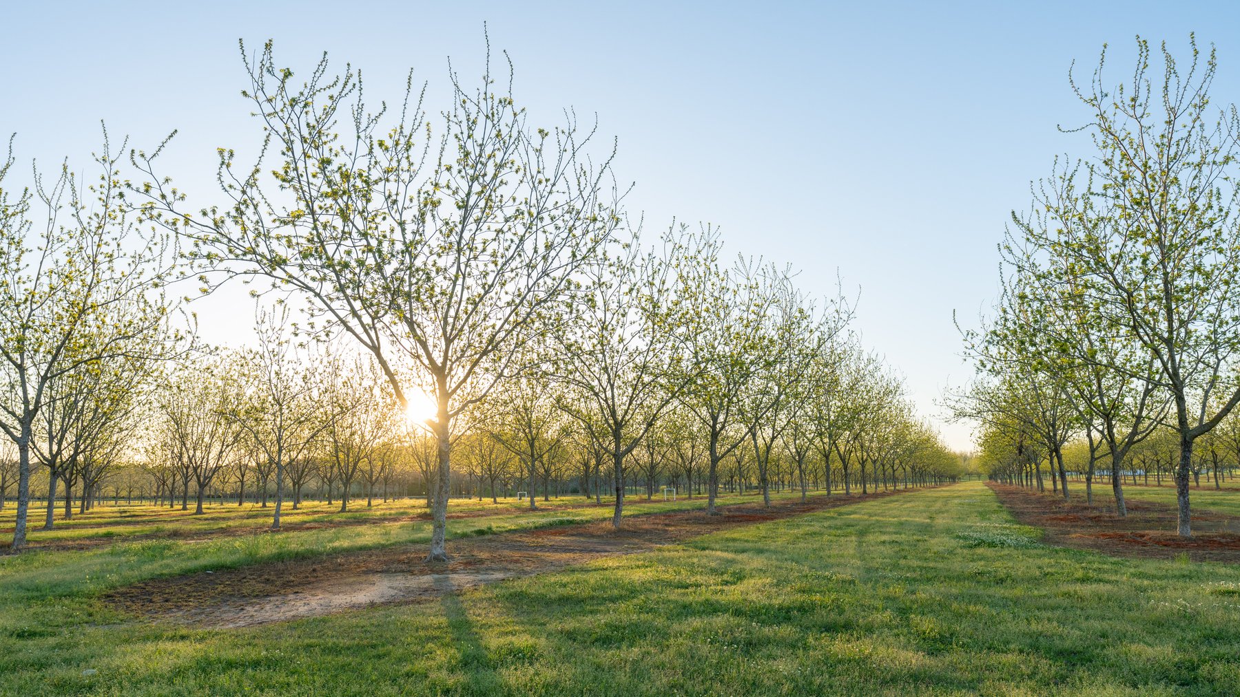 Image for 715+/- Acres - The Home Tract - Weybrenee Farms