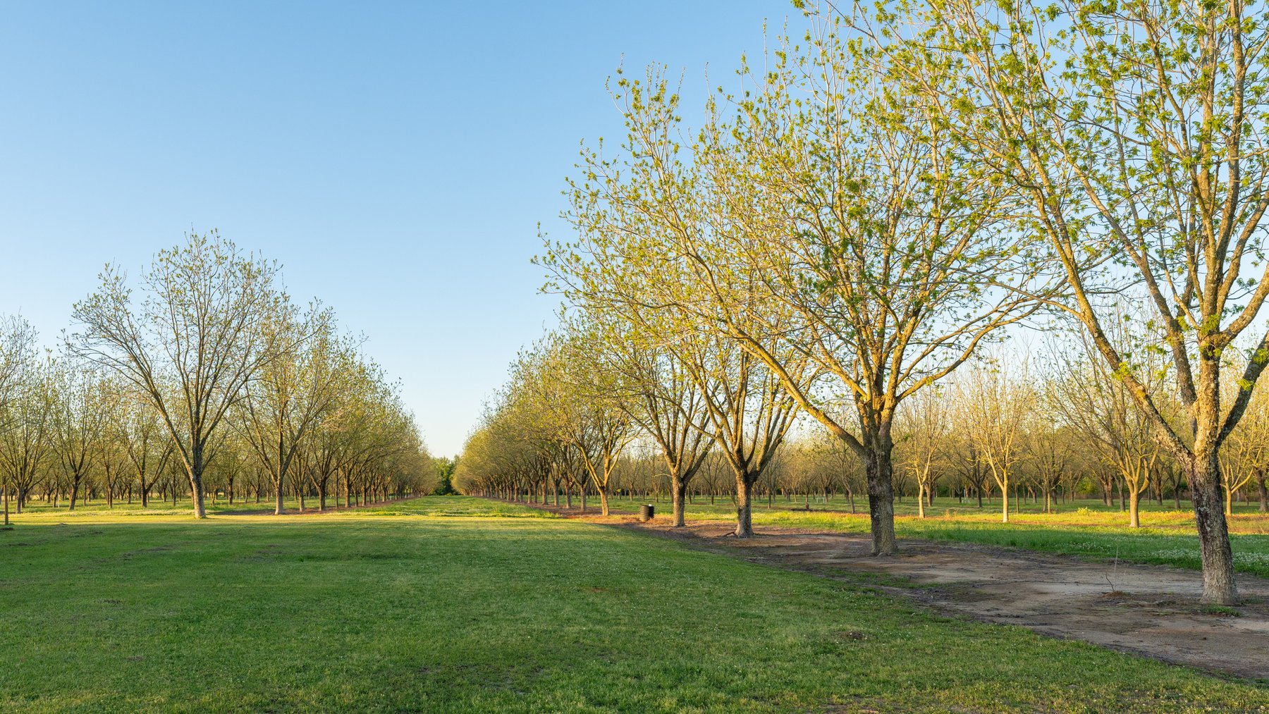 Image for 715+/- Acres - The Home Tract - Weybrenee Farms