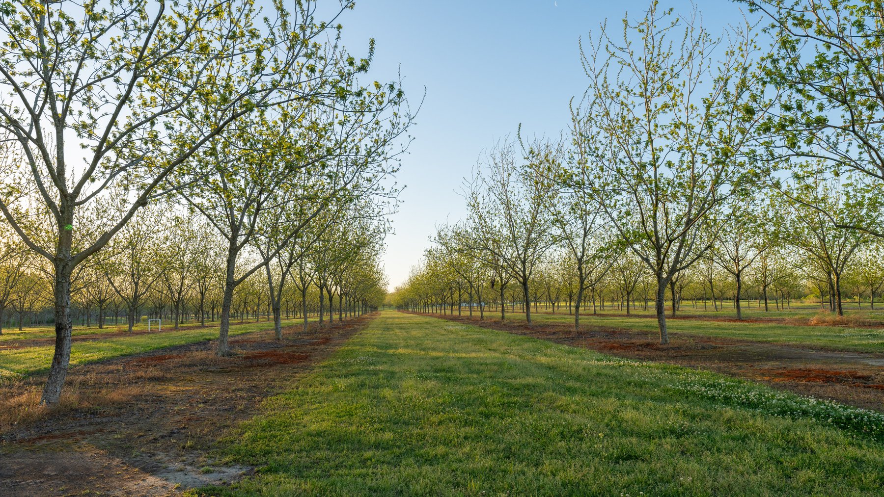 Image for 715+/- Acres - The Home Tract - Weybrenee Farms