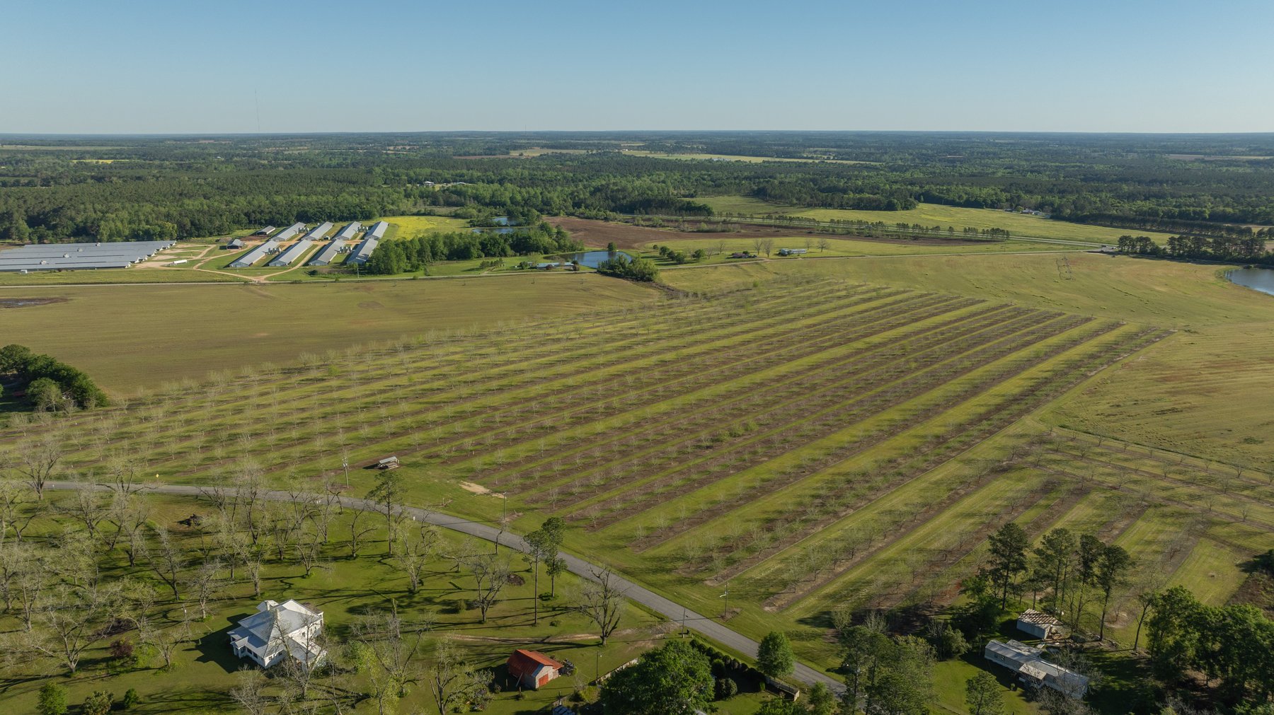 Image for 58+/- Acres - The Sealy Tract - Weybrenee Farms