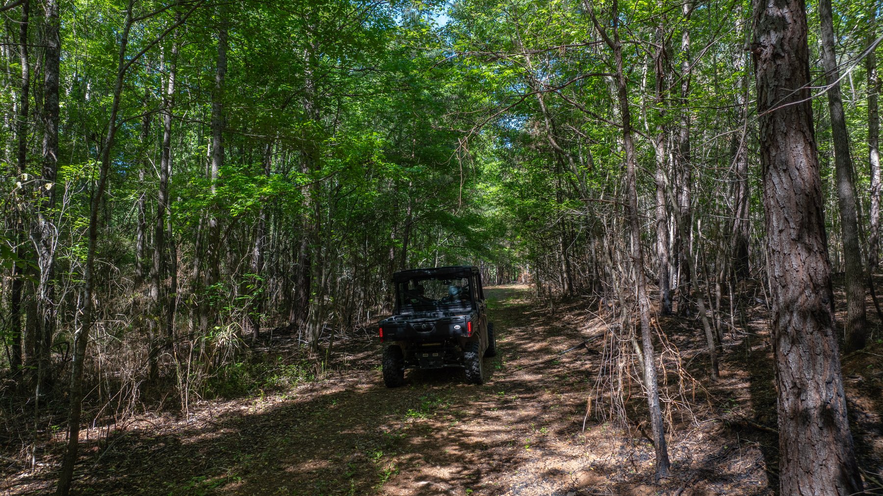 Image for Tobler Creek Place - 107.55 +/- Total Acres - Pristine Recreational Acreage w/ Homesite Potential