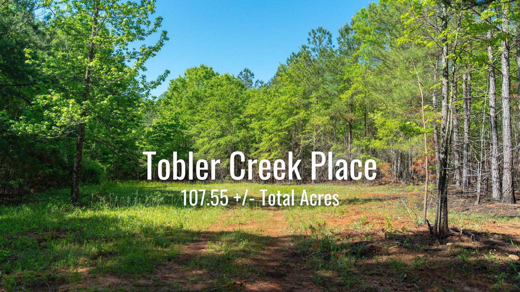 Image for Tobler Creek Place - 107.55 +/- Total Acres - Pristine Recreational Acreage w/ Homesite Potential