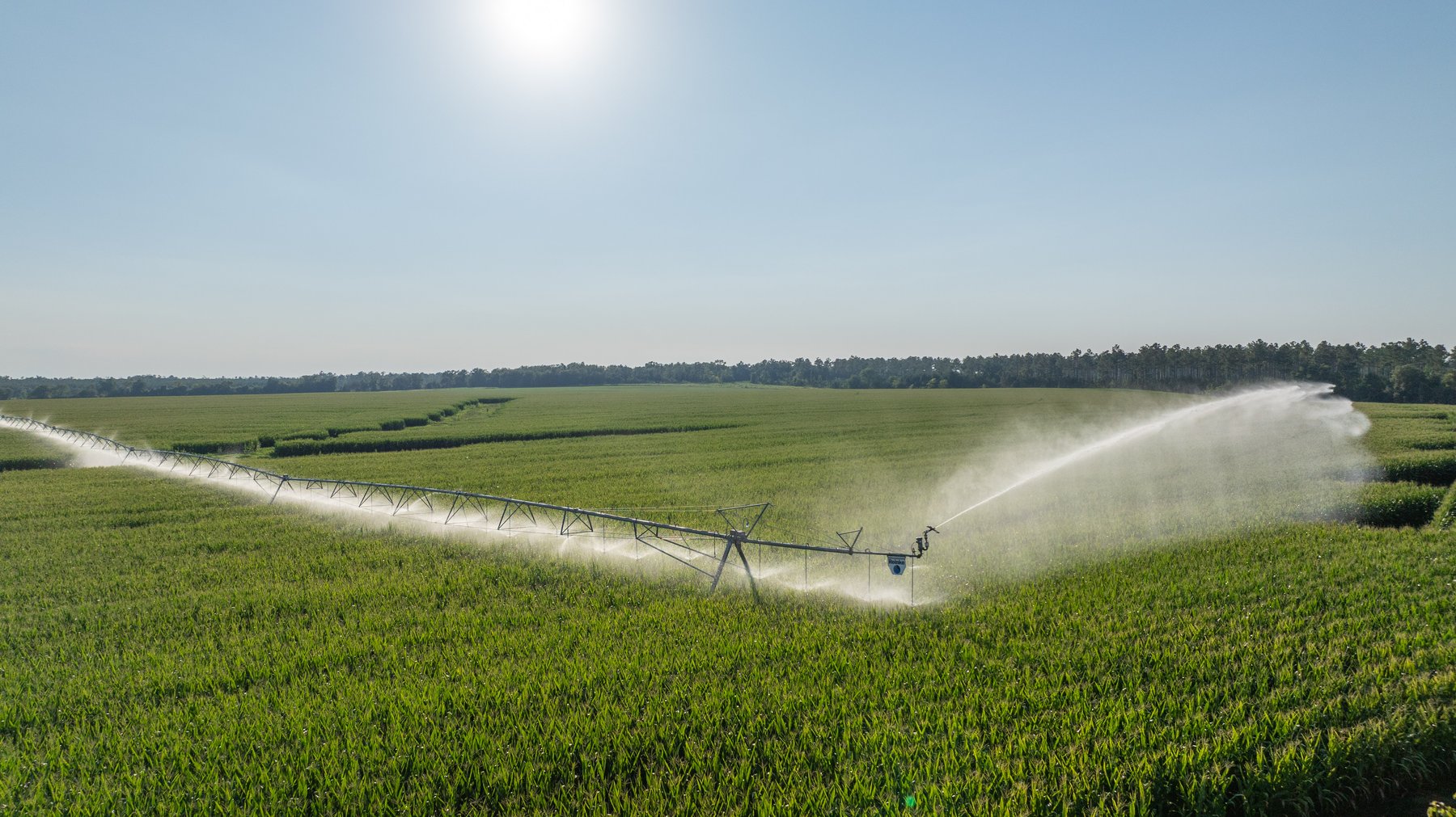 Image for 481+/- Acres - The John B. Wight Trust - Irrigated Row Crop Farm