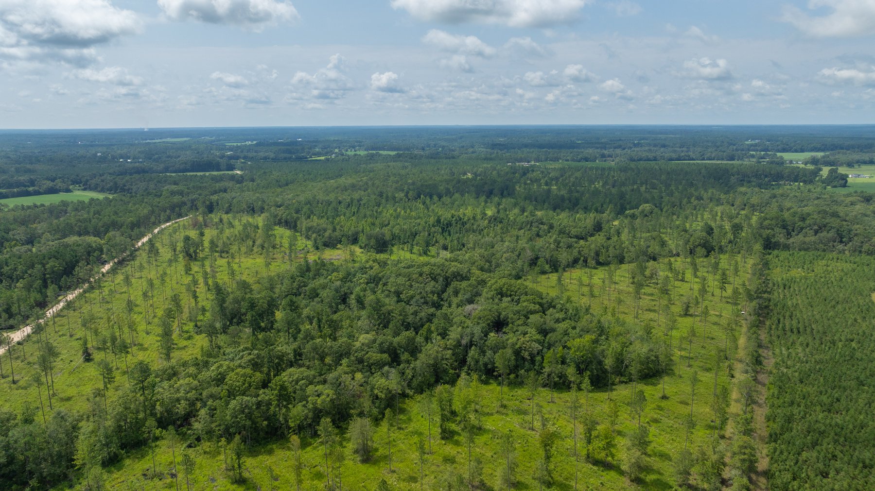 Image for 207+/- Acres in Lowndes County - Tremendous Development Potential