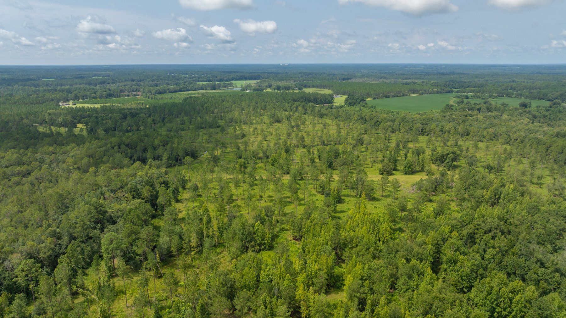Image for 207+/- Acres in Lowndes County - Tremendous Development Potential