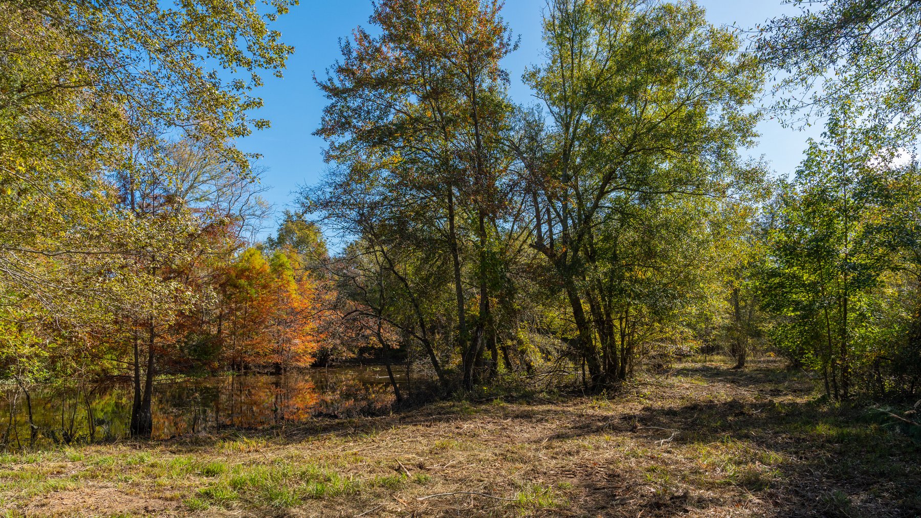 Image for The Hinson Farm – 191+/- Acres - Recreational Paradise with Income-Producing Potential in Dodge County, GA