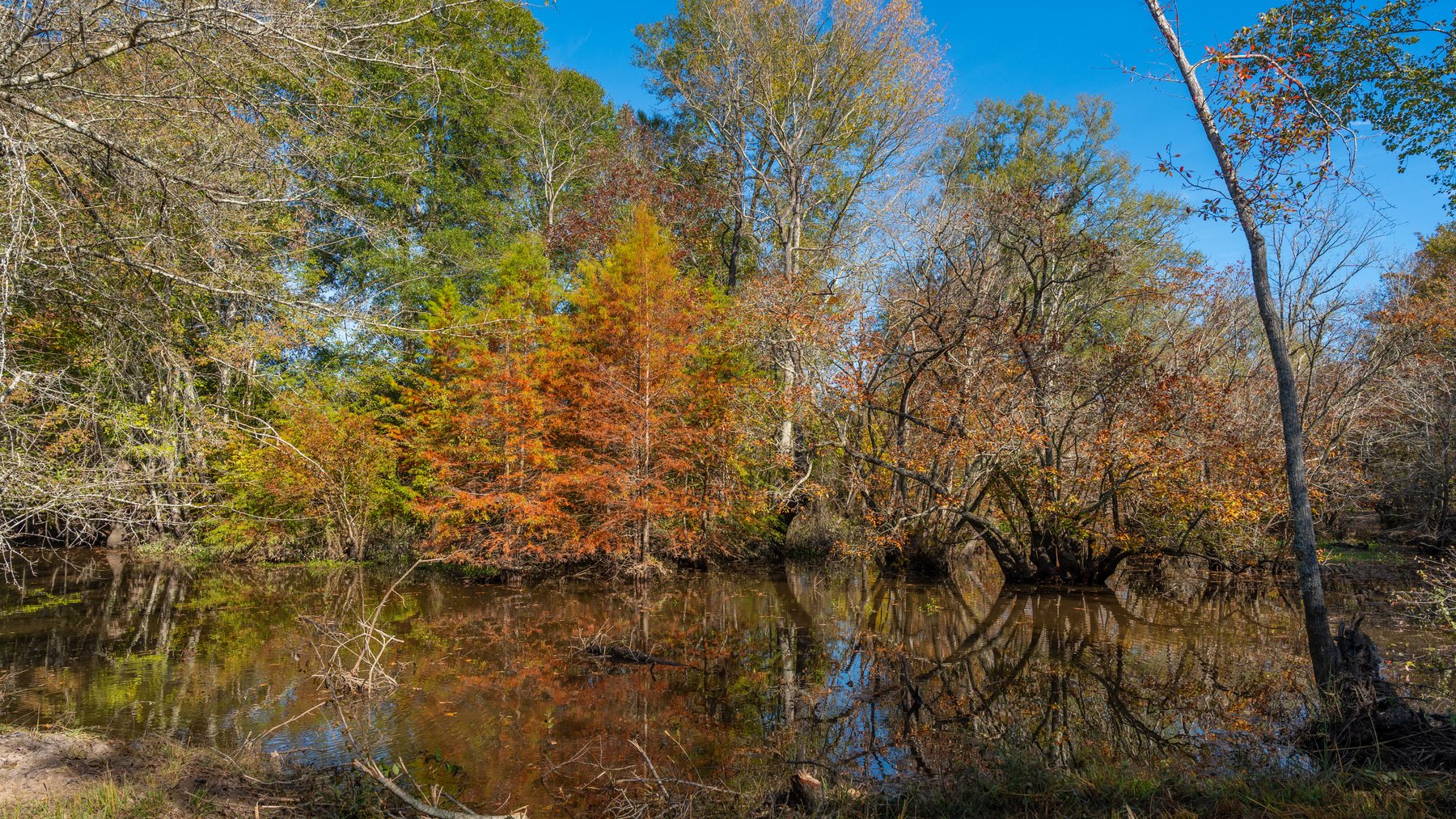 Image for The Hinson Farm – 191+/- Acres - Recreational Paradise with Income-Producing Potential in Dodge County, GA