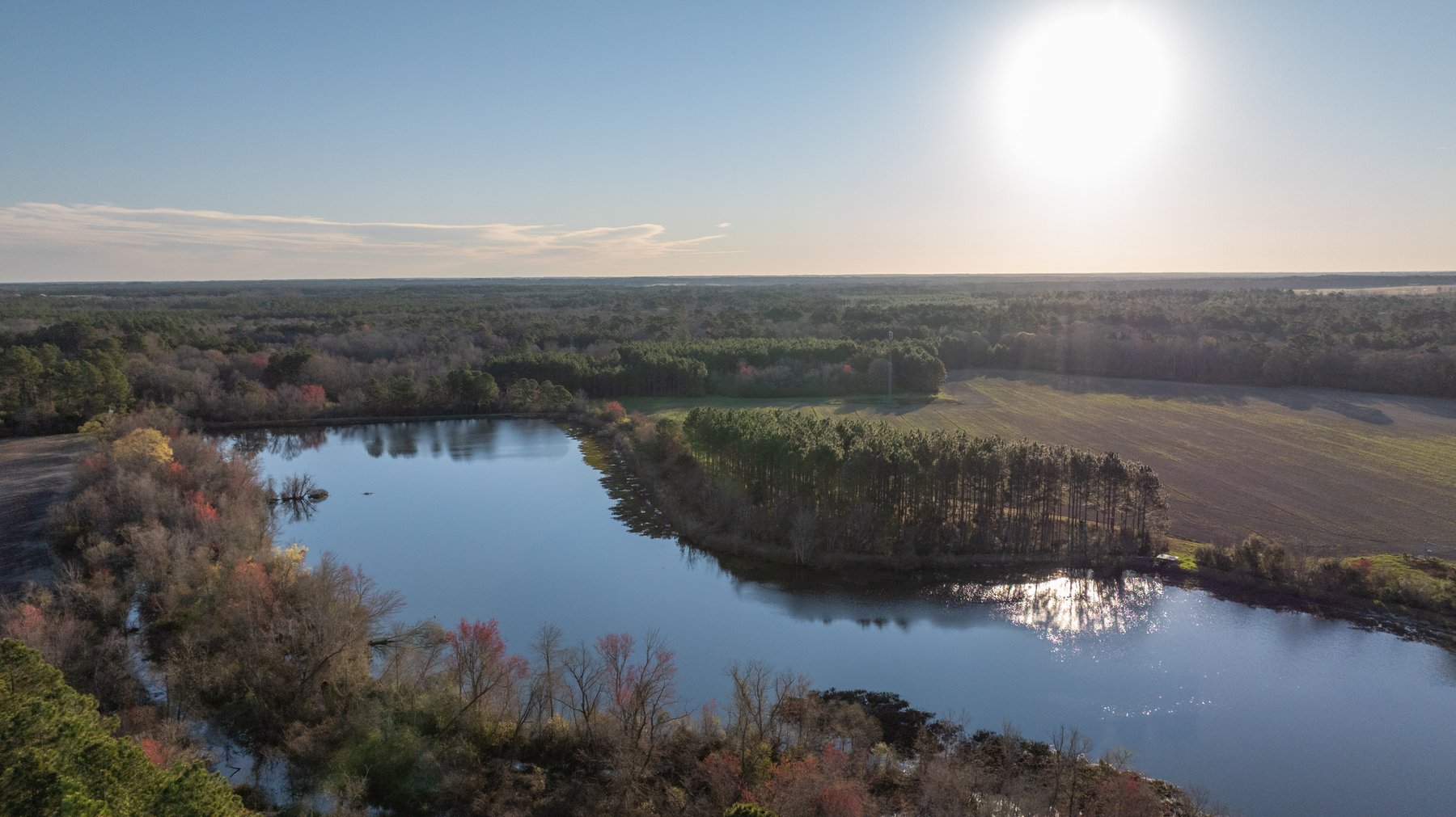 Image for 661+/- Acres - The Grass Farm - Highly Productive Irrigated Row Crop Farm - Ag & Recreational Investment Opportunity