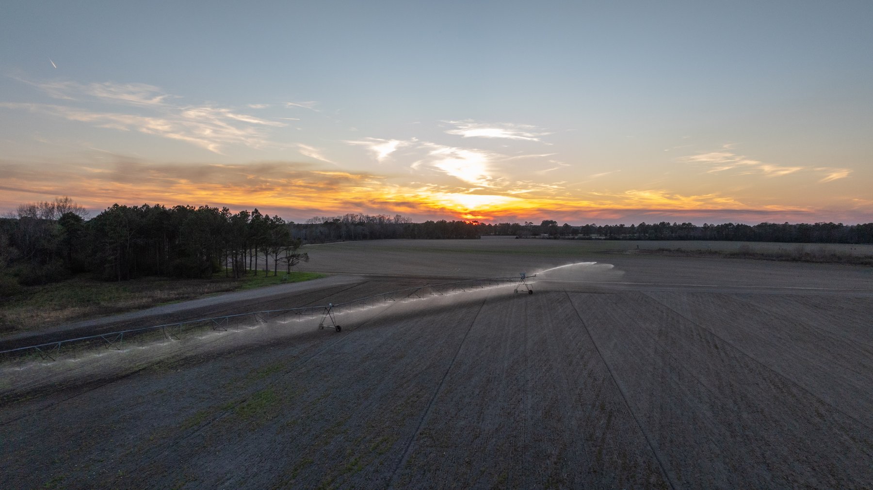 Image for 661+/- Acres - The Grass Farm - Highly Productive Irrigated Row Crop Farm - Ag & Recreational Investment Opportunity