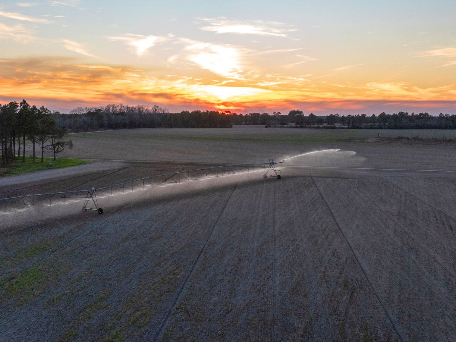 Image for 661+/- Acres - The Grass Farm - Highly Productive Irrigated Row Crop Farm - Ag & Recreational Investment Opportunity