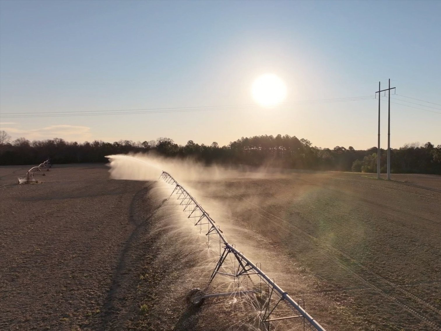 Image for 661+/- Acres - The Grass Farm - Highly Productive Irrigated Row Crop Farm - Ag & Recreational Investment Opportunity