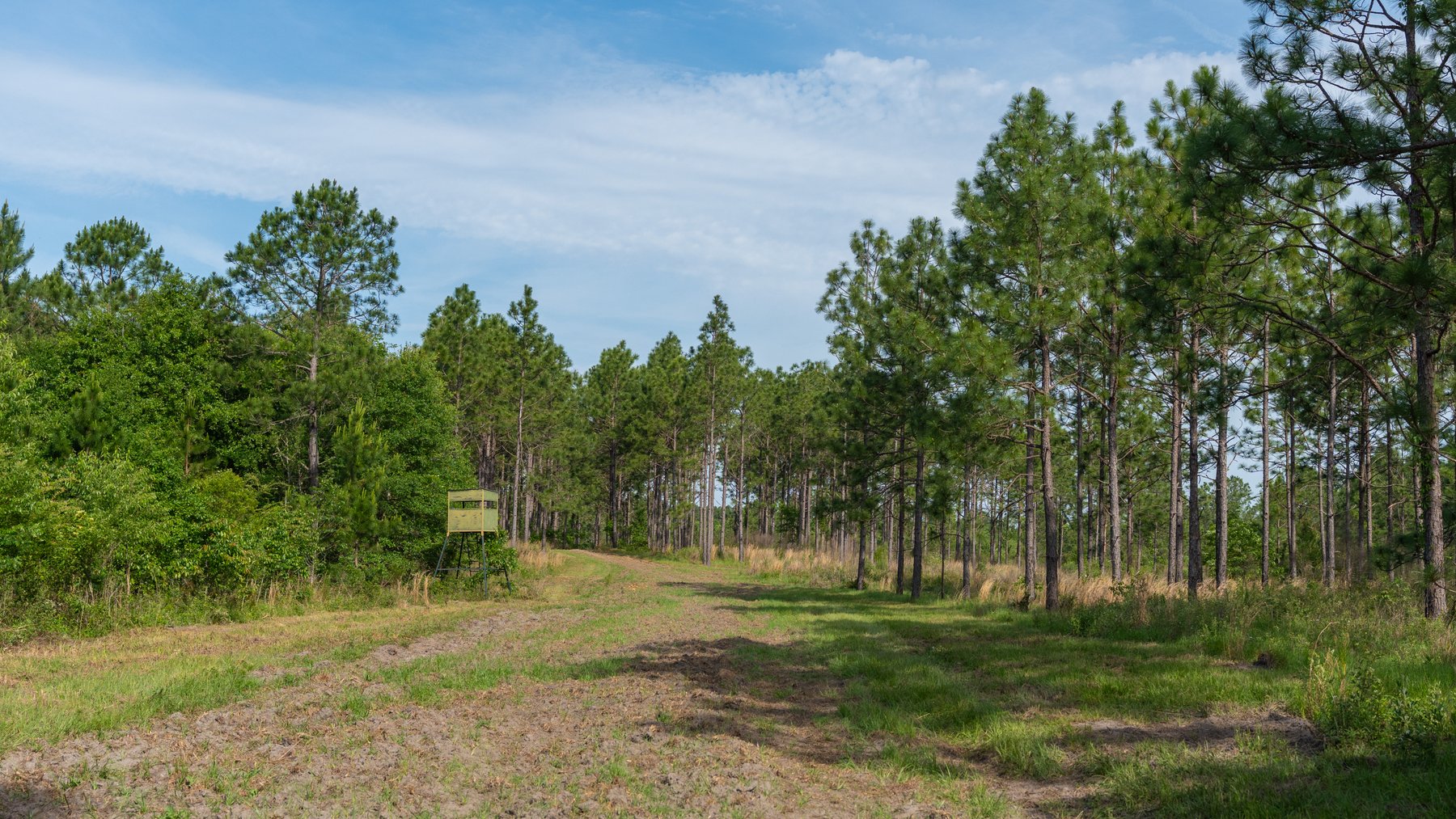 Image for 195+/- Total Acres - Premium Recreational Tract - Trophy Whitetails, Stocked Ponds & Plantation Pines
