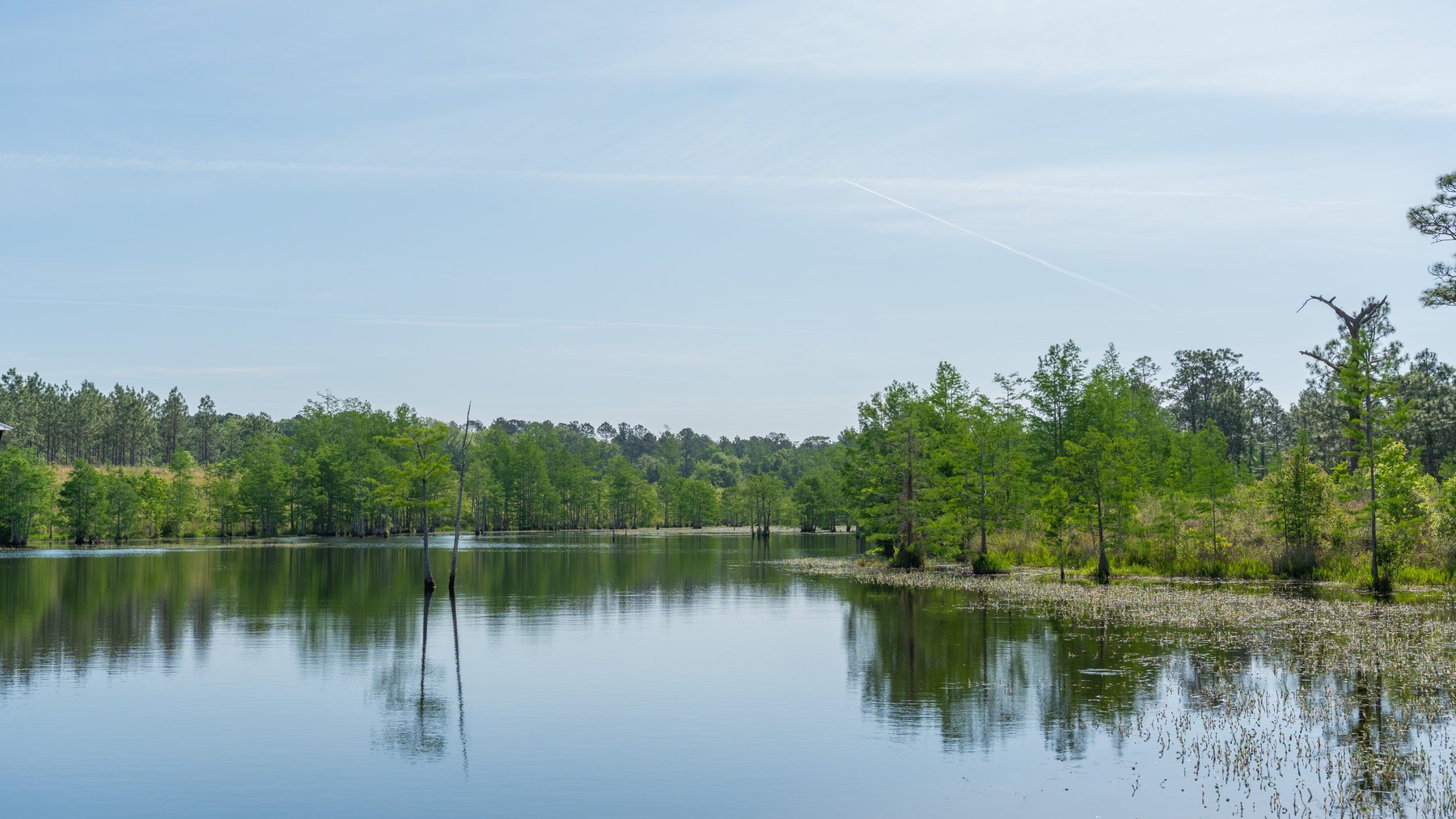 Image for 195+/- Total Acres - Premium Recreational Tract - Trophy Whitetails, Stocked Ponds & Plantation Pines