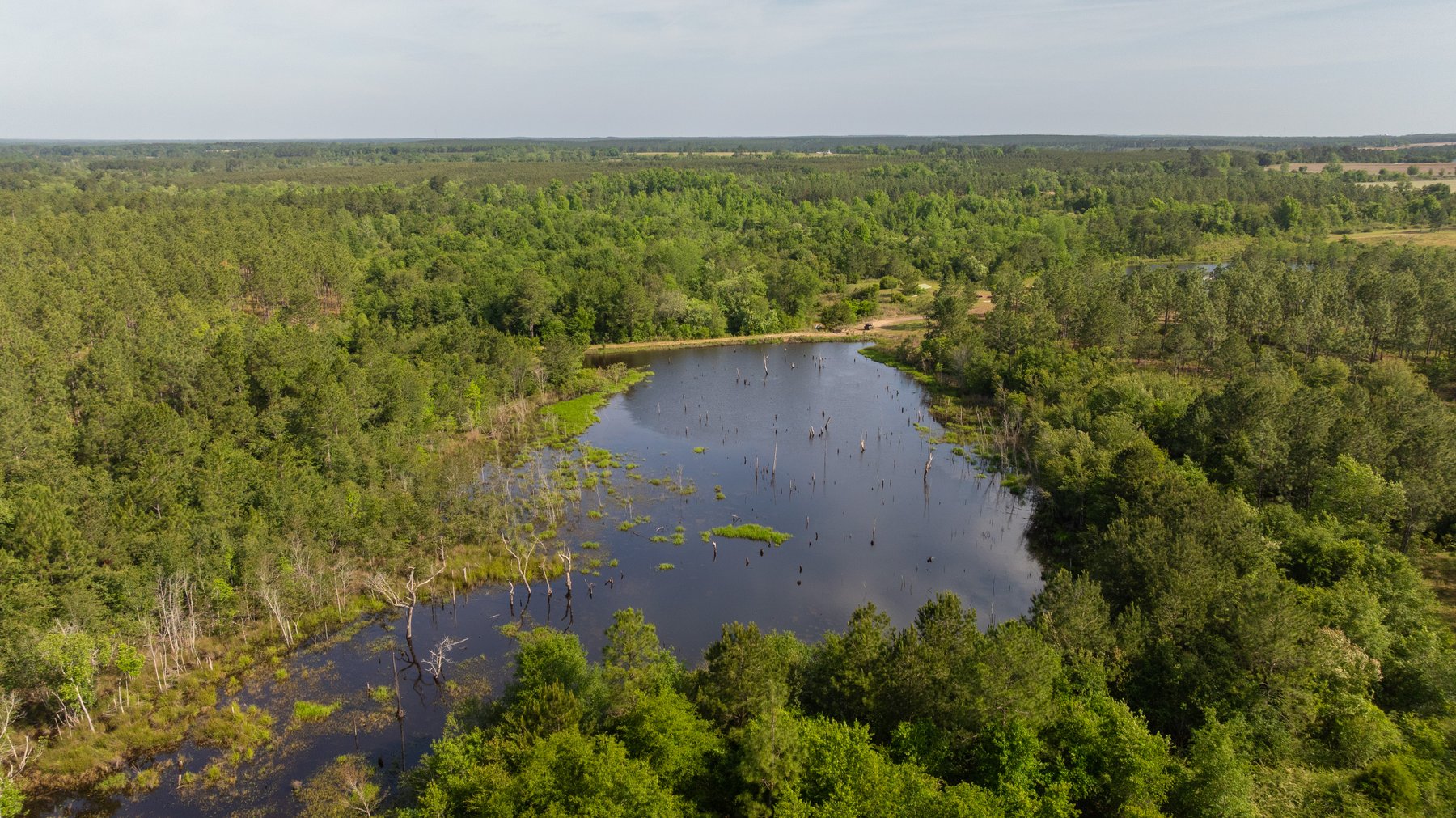 Image for 195+/- Total Acres - Premium Recreational Tract - Trophy Whitetails, Stocked Ponds & Plantation Pines