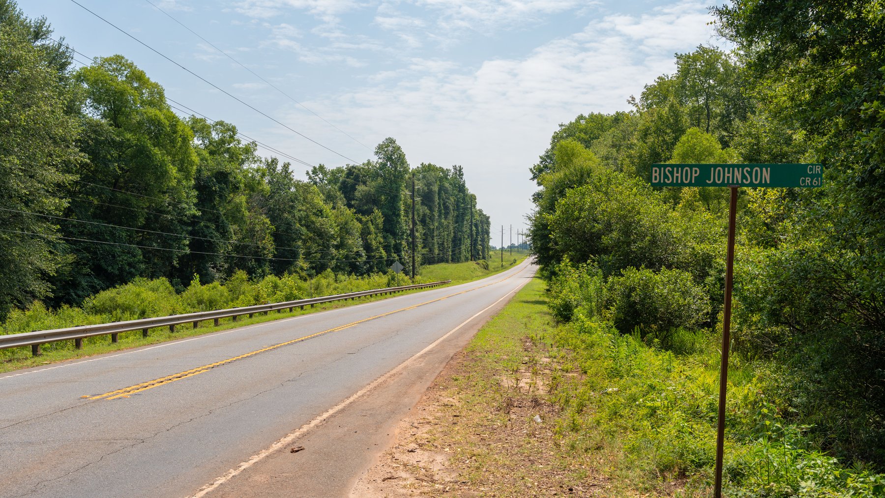 Image for The Minick Place - 204+/- Total Acres - Premium Recreational Tract - Row Crop Farmland - Choctahatchee Creek Frontage