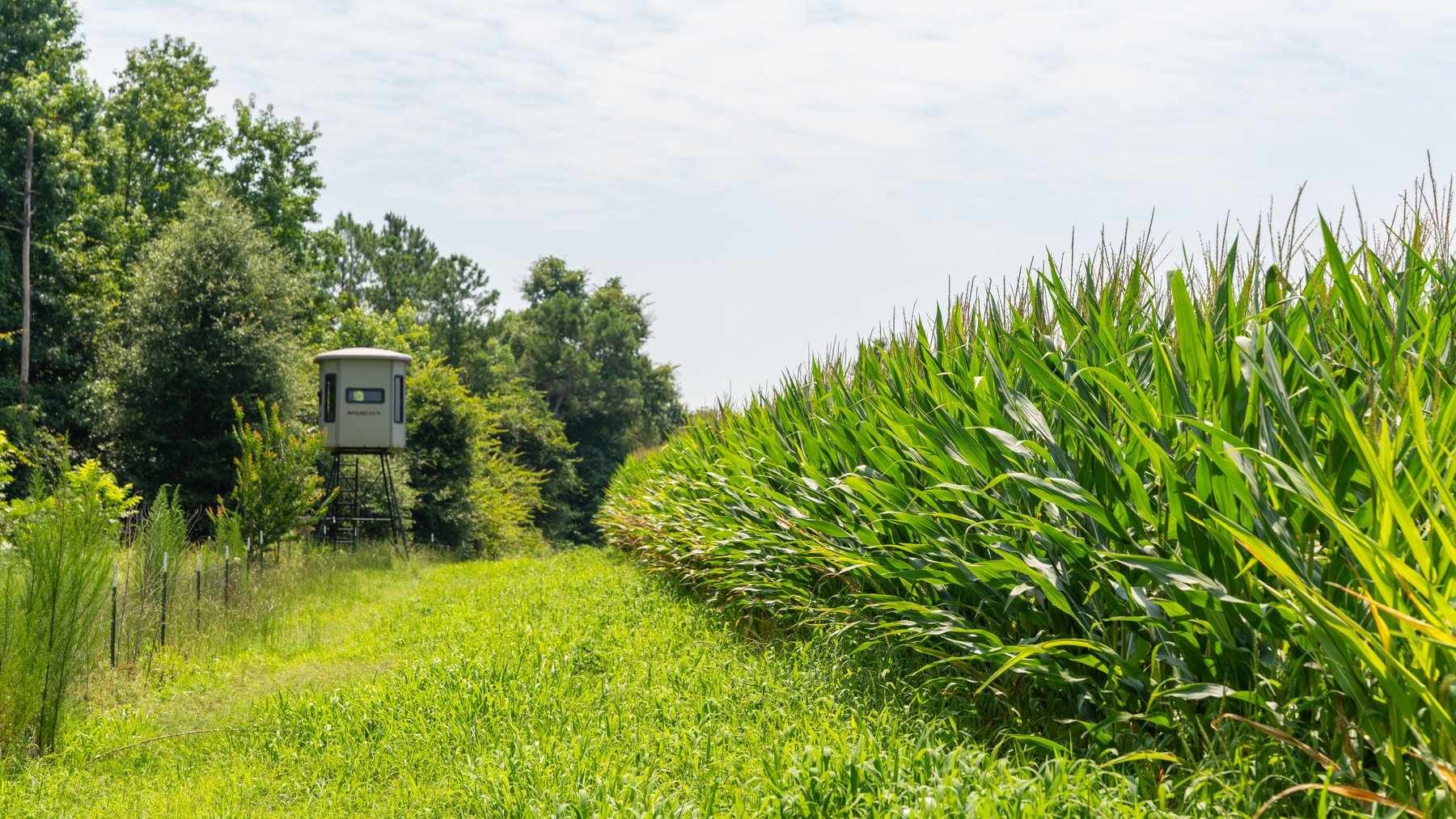 Image for The Minick Place - 204+/- Total Acres - Premium Recreational Tract - Row Crop Farmland - Choctahatchee Creek Frontage