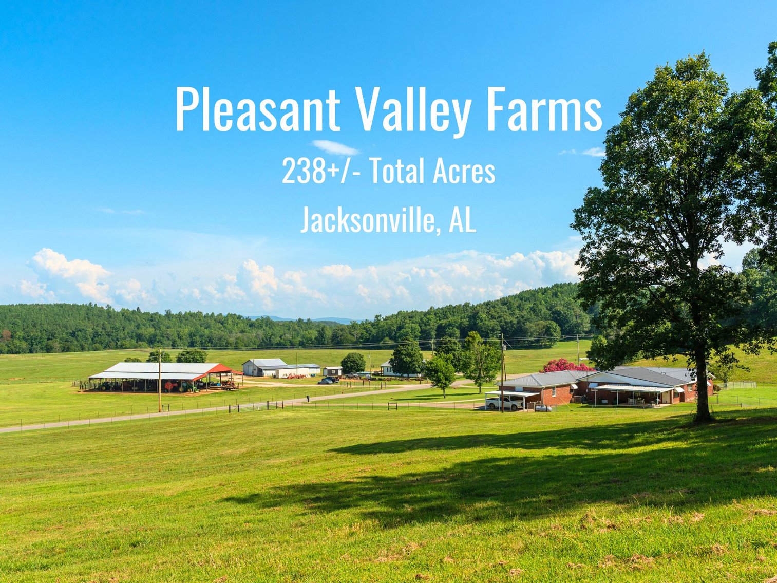 Image for Pleasant Valley Farms – 238+/- Total Acres - Residential Development Opportunity - Beautiful Brick Home & Improvements - Offered Divided & as a Whole