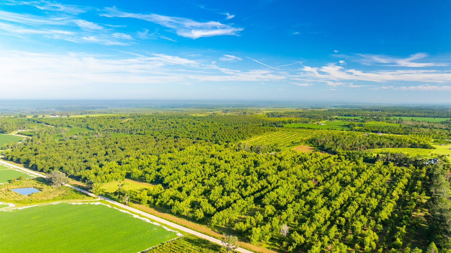 Image for 440± Acres - 7 Rock & Ganas Orchard - Exceptional Road Frontage w/ Mini-Farm Potential & Residential Lots - Irrigated Pecan Orchard with Strong Varieties