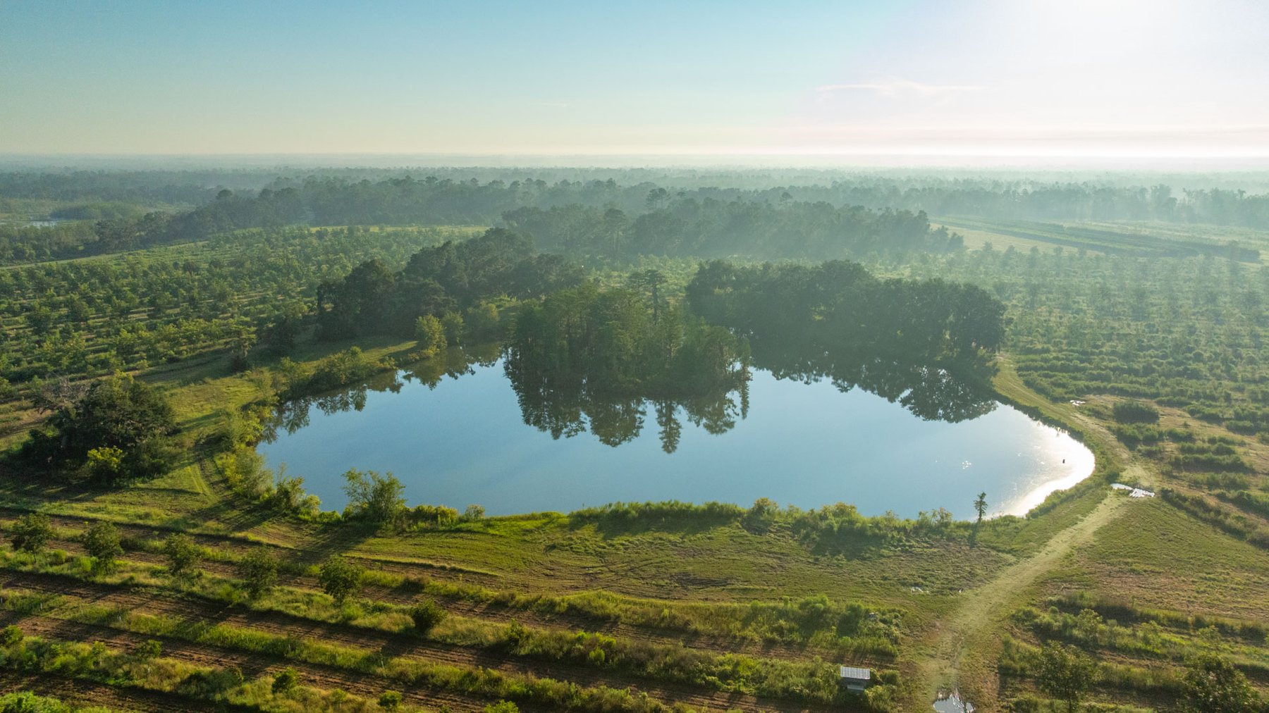 Image for 143± Acres - Darsey Orchard - Surrounded by Residential Growth with Mini-Farm Opportunities - Irrigated Pecan Orchard with Ample Frontage