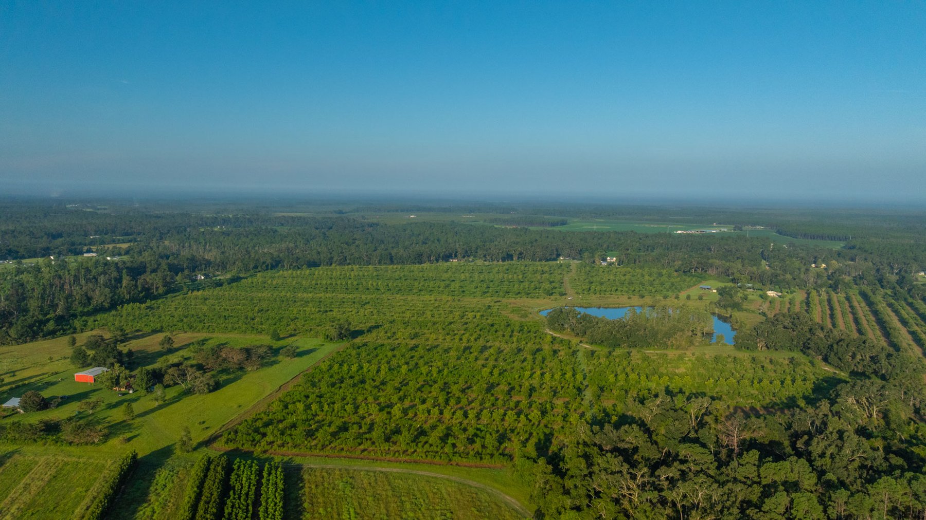Image for 143± Acres - Darsey Orchard - Surrounded by Residential Growth with Mini-Farm Opportunities - Irrigated Pecan Orchard with Ample Frontage