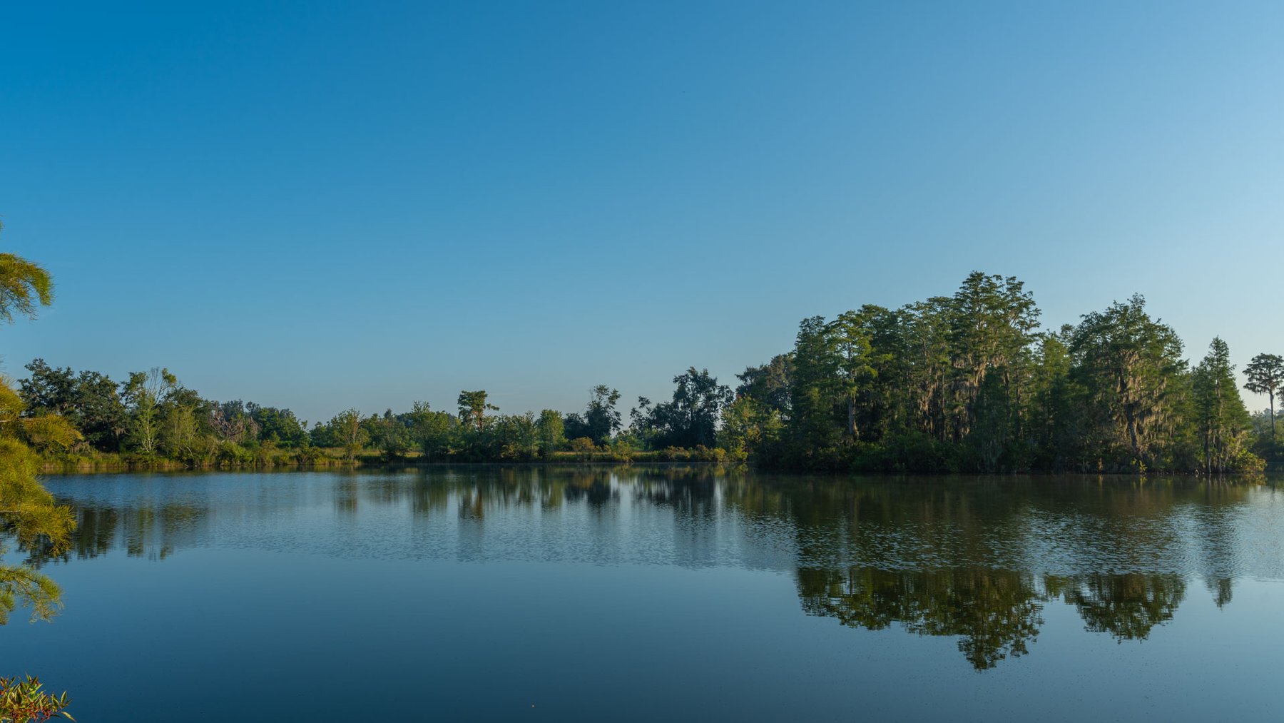 Image for 143± Acres - Darsey Orchard - Surrounded by Residential Growth with Mini-Farm Opportunities - Irrigated Pecan Orchard with Ample Frontage