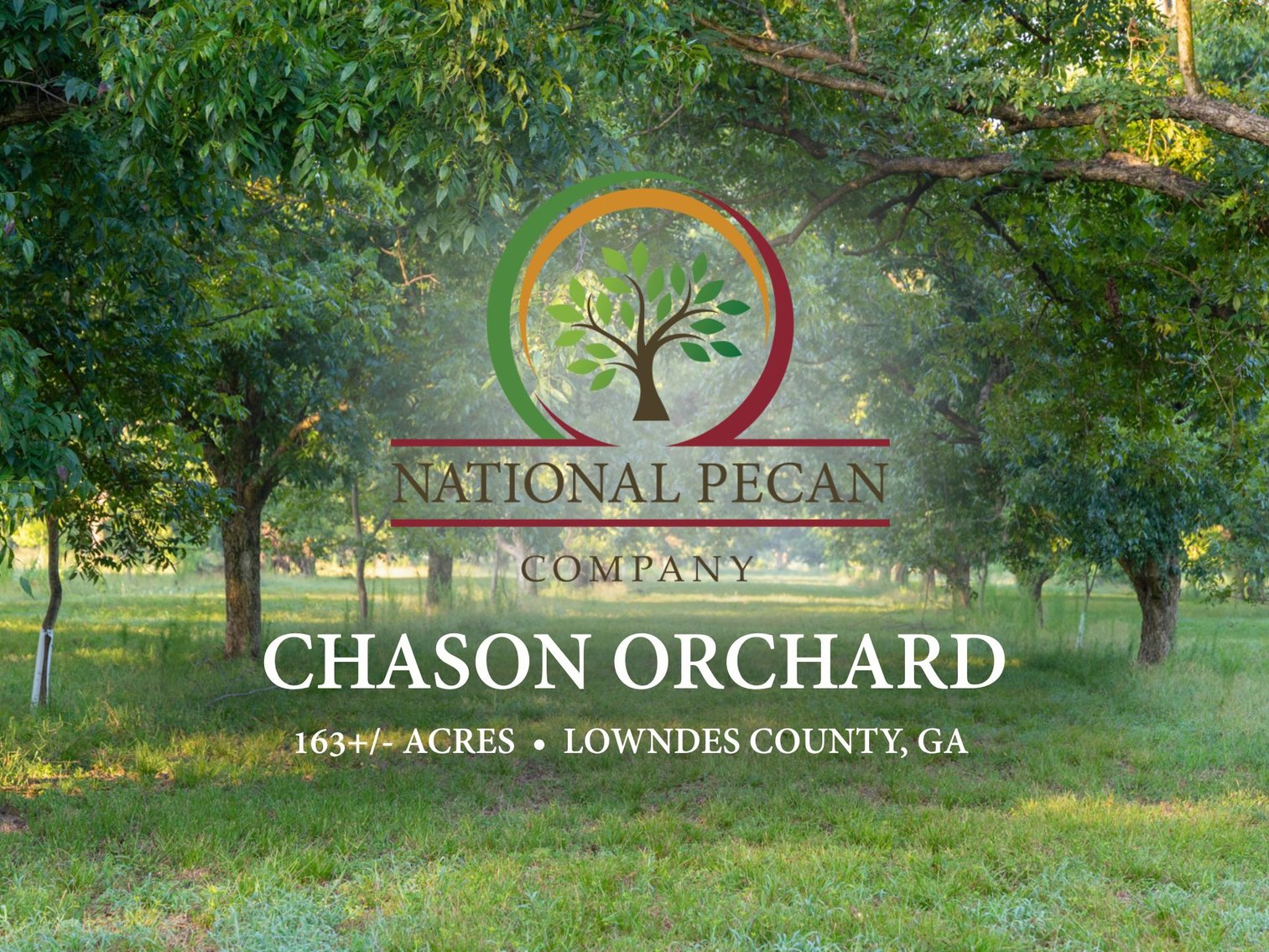 Image for 163± Acres - Chason Orchard - Ideal for Residential Homesites, Estate Lots & Expansion Opportunities - Irrigated Orchard with Home, Ample Frontage & Wooded Tracts