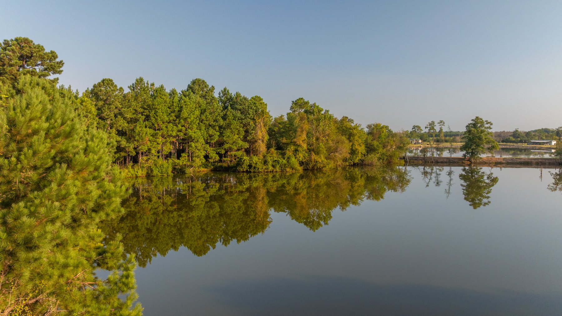 Image for 52± Acres - The Bridge Creek Farm - Stocked Pond, Pines, & Trophy Game - Offered Divided & as a Whole