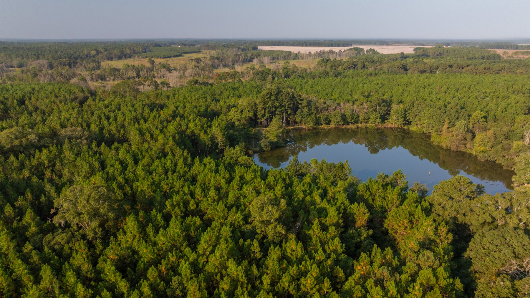 Image for 52± Acres - The Bridge Creek Farm - Stocked Pond, Pines, & Trophy Game - Offered Divided & as a Whole