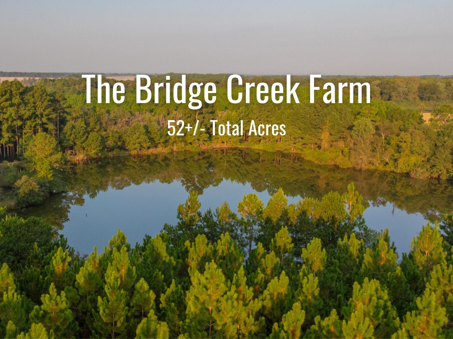 Image for 52± Acres - The Bridge Creek Farm - Stocked Pond, Pines, & Trophy Game - Offered Divided & as a Whole
