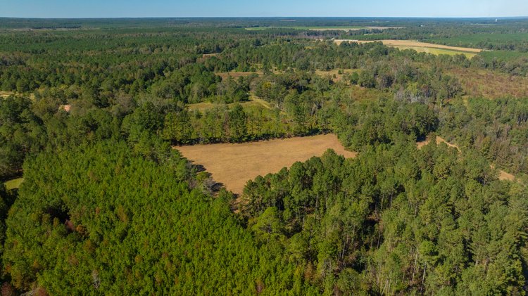 Image for 170+/- Acres - The Ohoopee River Retreat - Prime Recreational Land w/ Hunting Cabin Offered Divided & as a Whole