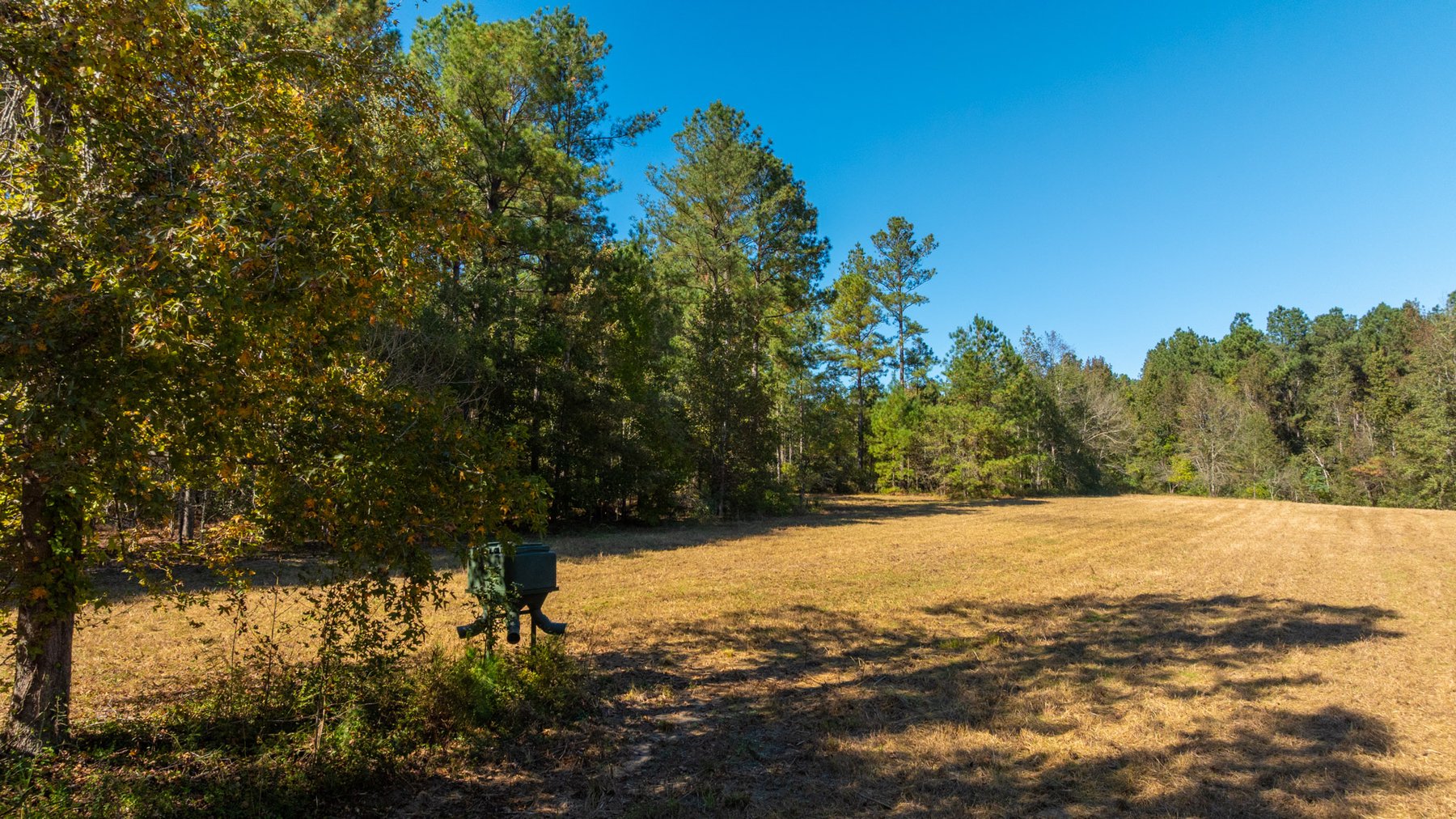 Image for 170+/- Acres - The Ohoopee River Retreat - Prime Recreational Land w/ Hunting Cabin Offered Divided & as a Whole