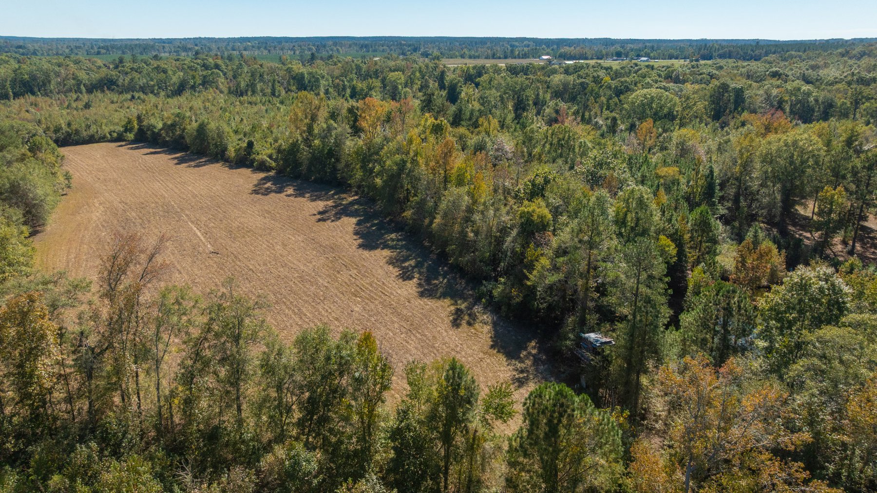 Image for 170+/- Acres - The Ohoopee River Retreat - Prime Recreational Land w/ Hunting Cabin Offered Divided & as a Whole