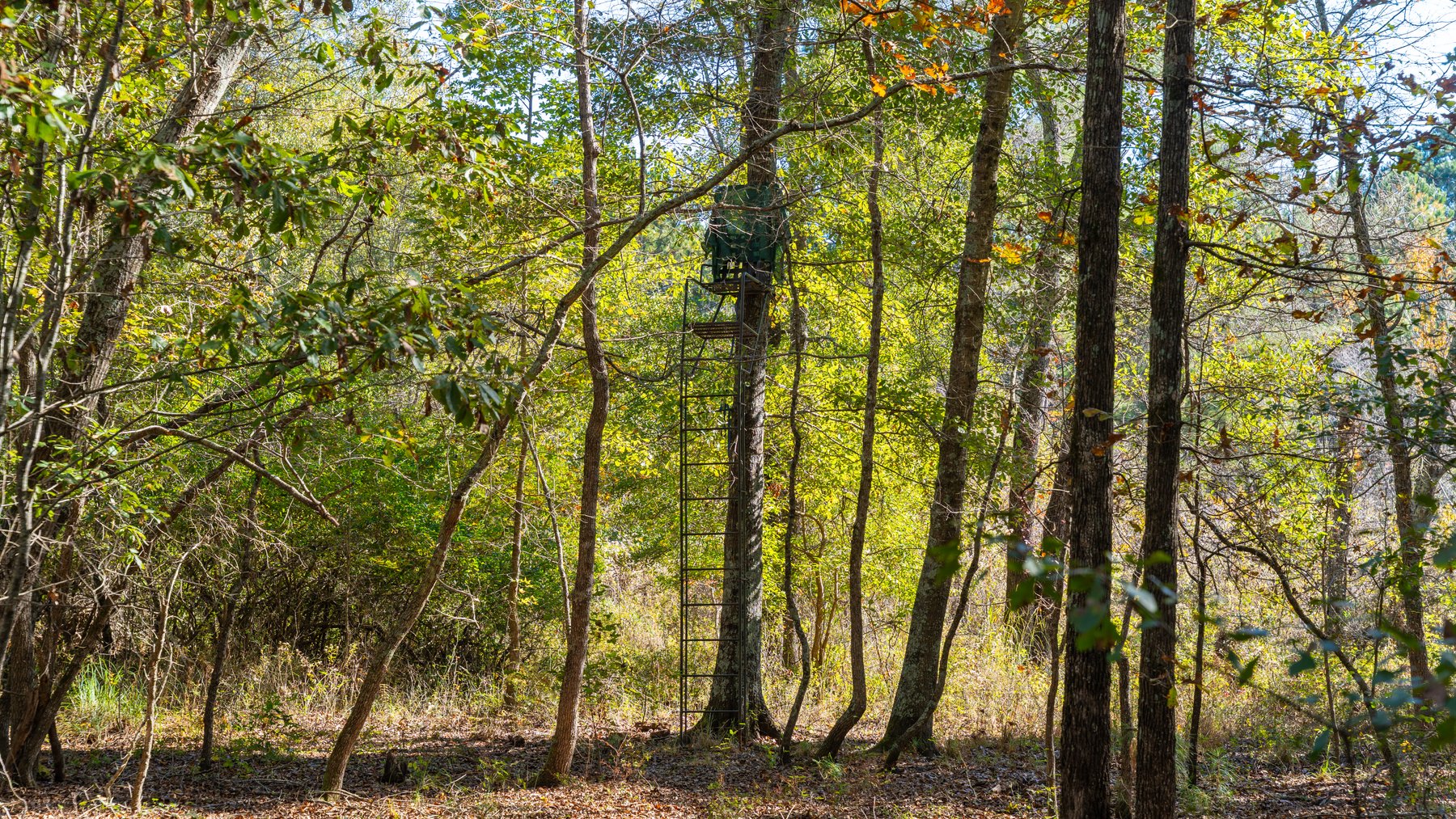 Image for 300+/- Total Acres - The Smithville Farm - Sportsman's Paradise W/ Row Crop Farmland