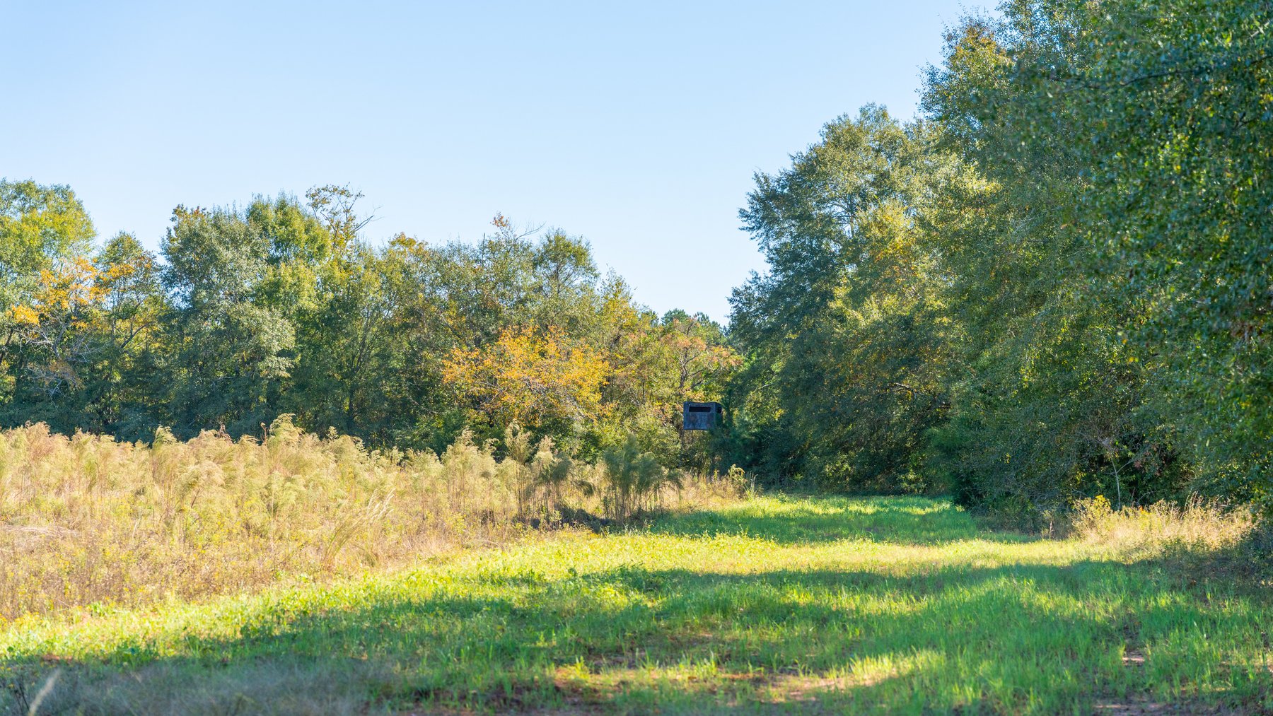 Image for 300+/- Total Acres - The Smithville Farm - Sportsman's Paradise W/ Row Crop Farmland