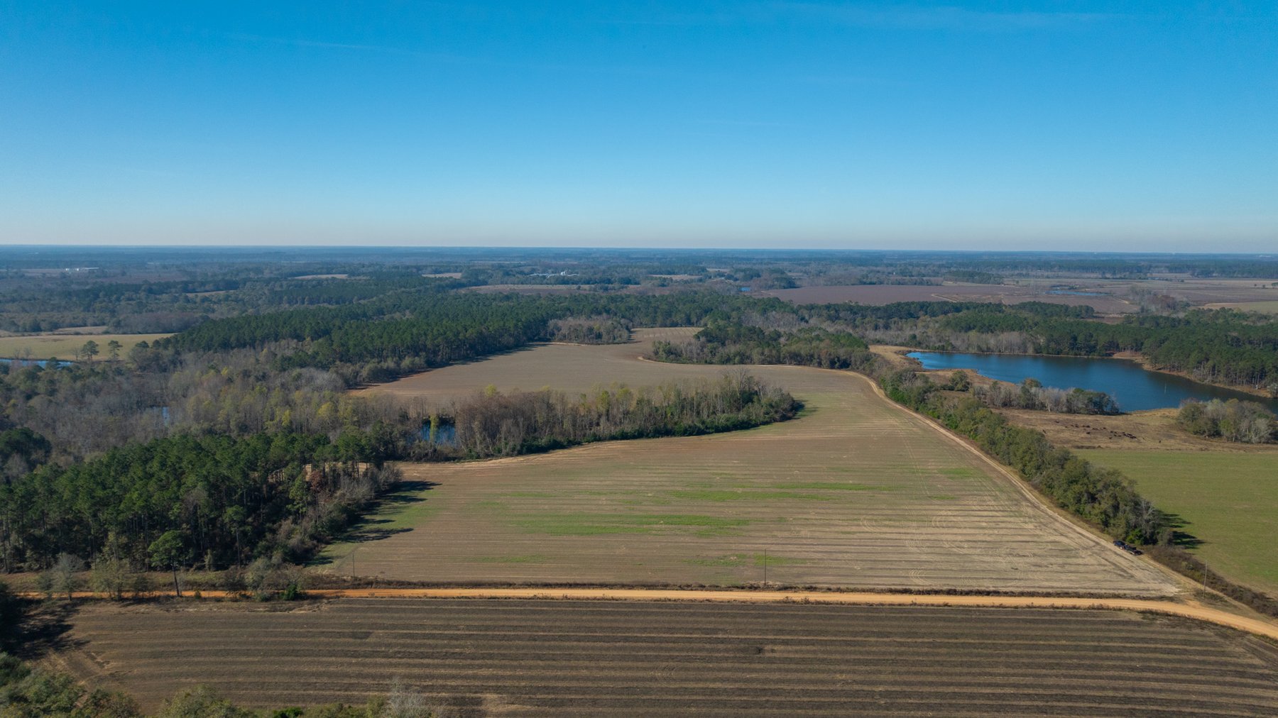 Image for Swallow Lane Farm - 157± Acres - Irwin County, Georgia - Income-Producing Row Crop Farmland & Recreational Retreat