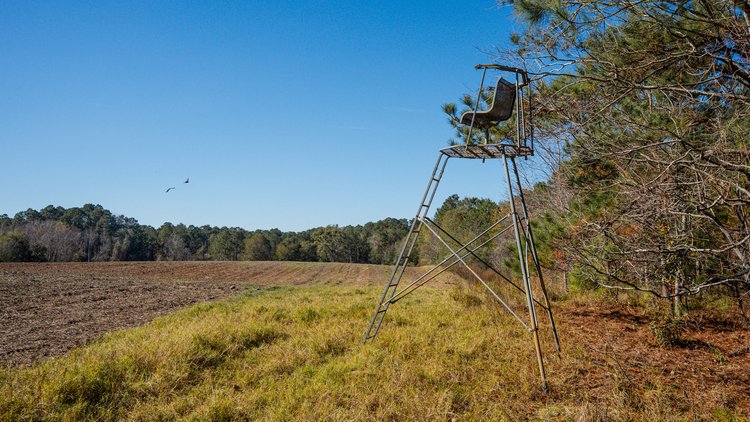 Image for Swallow Lane Farm - 157± Acres - Irwin County, Georgia - Income-Producing Row Crop Farmland & Recreational Retreat