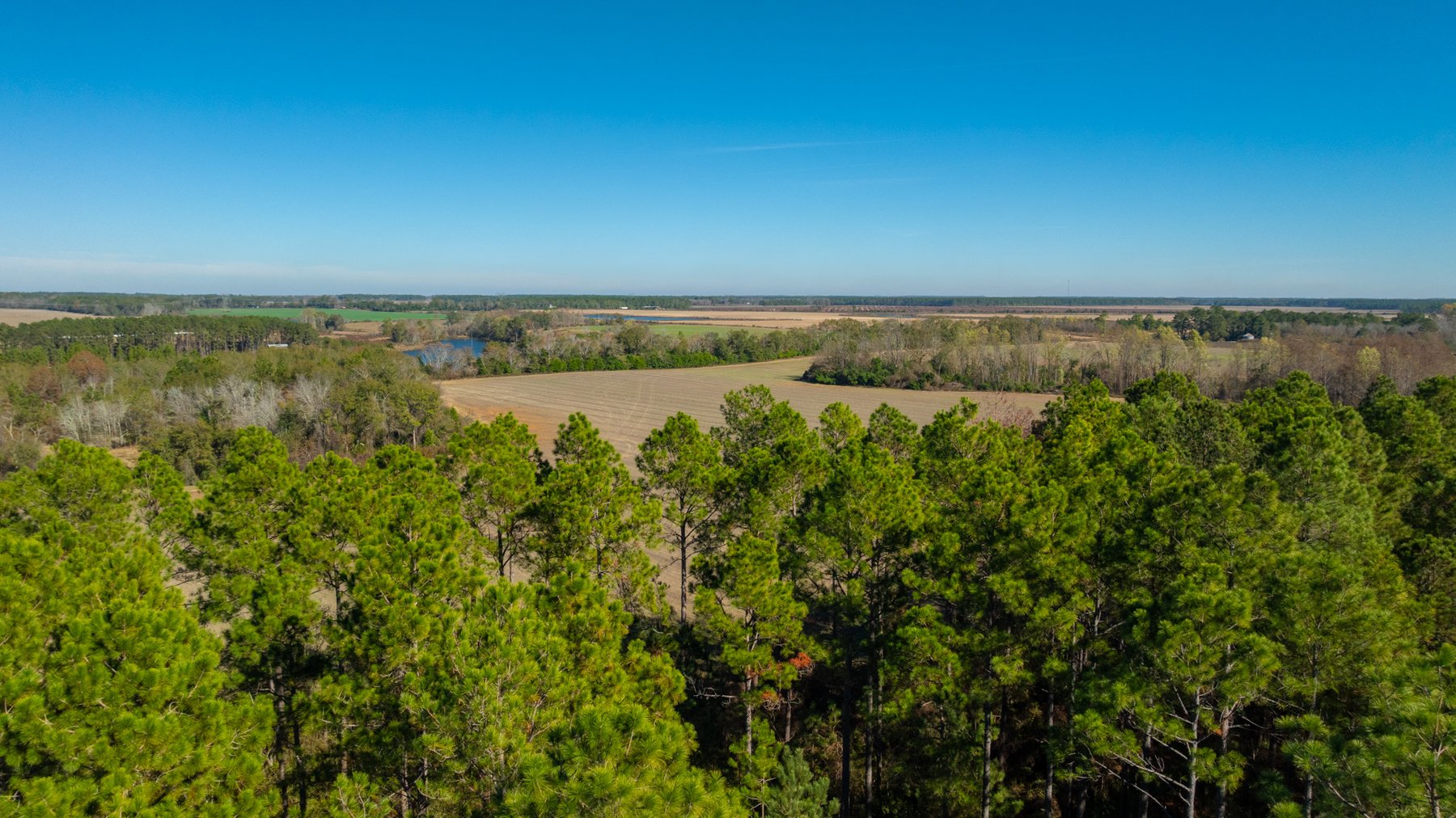 Image for Swallow Lane Farm - 157± Acres - Irwin County, Georgia - Income-Producing Row Crop Farmland & Recreational Retreat