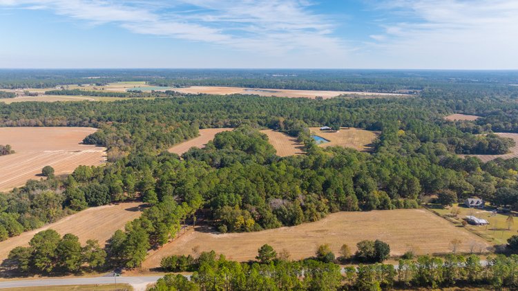 Image for 53± Acres - Land Auction - Beautiful Farmland, Timber & Ponds - Outdoor Paradise in Colquitt County, GA