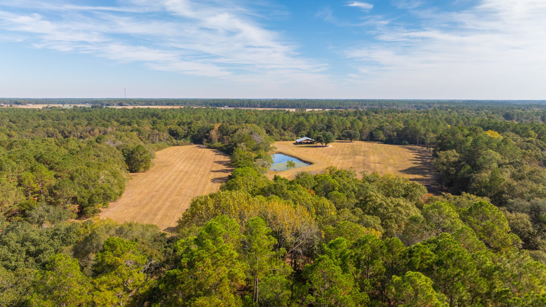 Image for 53± Acres - Land Auction - Beautiful Farmland, Timber & Ponds - Outdoor Paradise in Colquitt County, GA