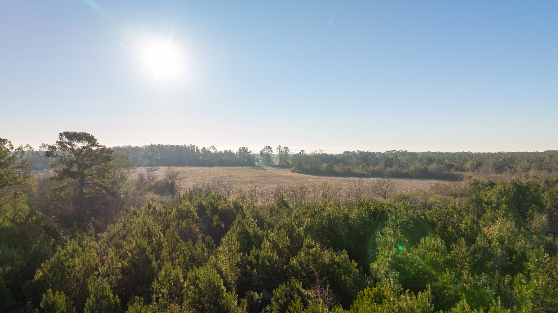 Image for 253+/- Acres - Bear Creek Farm - Sportsman’s Paradise w/ Row Crop Farmland - Premium Hunting & Creek Frontage - Offered Divided & as a whole