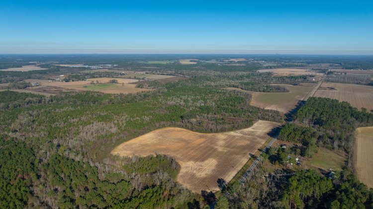 Image for 253+/- Acres - Bear Creek Farm - Sportsman’s Paradise w/ Row Crop Farmland - Premium Hunting & Creek Frontage - Offered Divided & as a whole