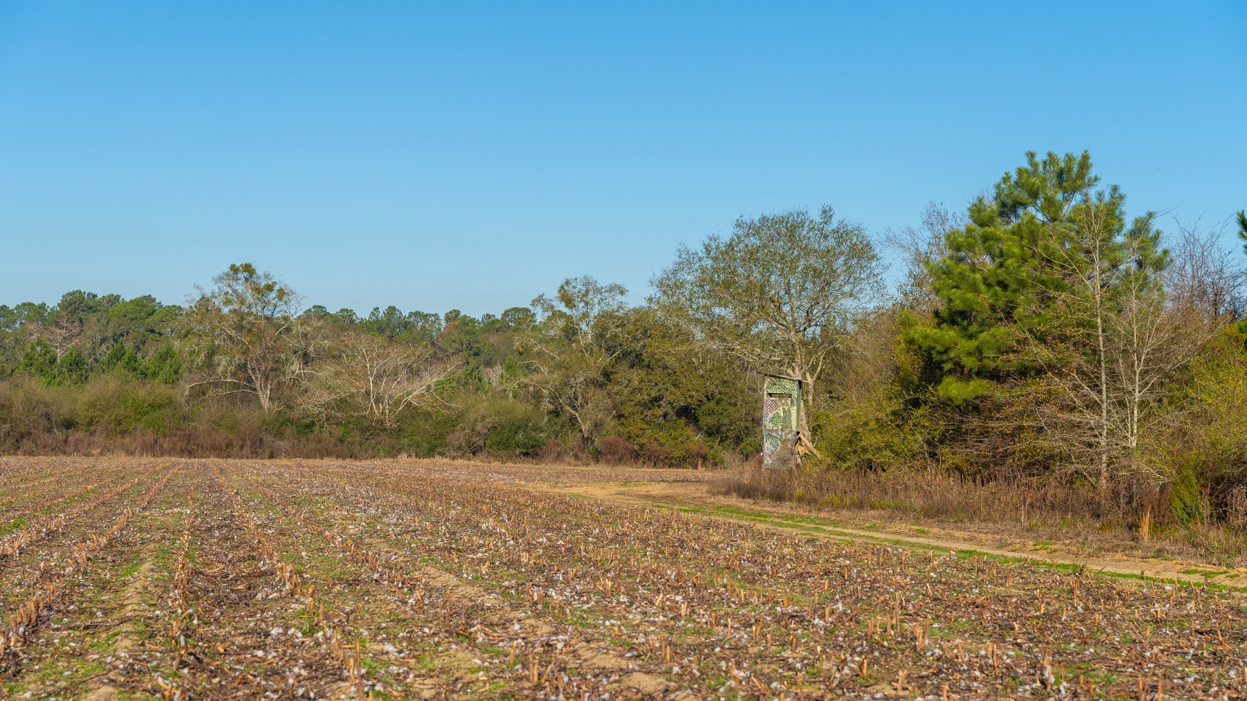 Image for 253+/- Acres - Bear Creek Farm - Sportsman’s Paradise w/ Row Crop Farmland - Premium Hunting & Creek Frontage - Offered Divided & as a whole