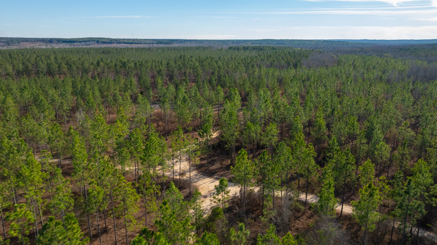 Image for King Tract - 775± Total Acres - Premium Plantation Tract - Large Timber Investment - Choctahatchee Creek Frontage - Offered Divided & As A Whole