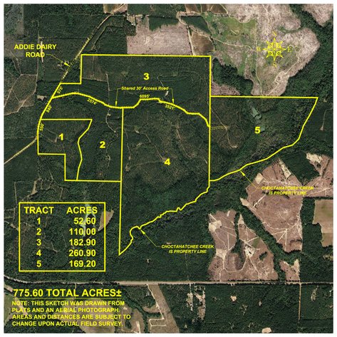 Image for King Tract - 775± Total Acres - Premium Plantation Tract - Large Timber Investment - Choctahatchee Creek Frontage - Offered Divided & As A Whole