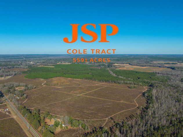 Image for Cole Tract - 559± Total Acres - Beautiful Recreational Farm - Planted Pines & Premium Hunting - Lanahassee Creek Frontage - Offered Divided & As A Whole