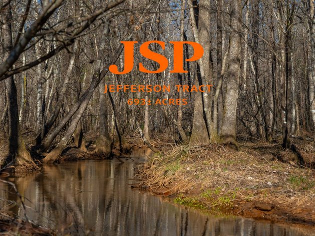 Image for Jefferson Tract - 693± Total Acres - Exceptional Timber Investment - Plantation Pines & Lanahassee Creek Frontage - Offered Divided 7 As A Whole